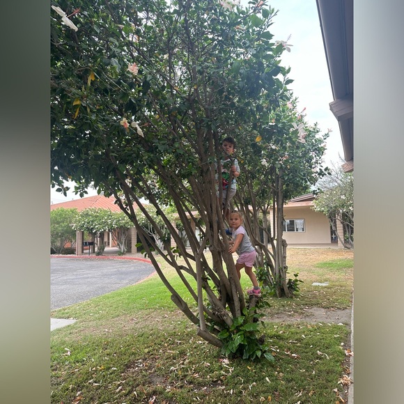 Meet your Posher, Janice - Picture 3 of 3